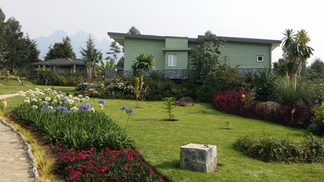 This was built using local labour and as much as possible locally sourced materials and tradesmen. Only one jcb was allowed to be used so that, whilst under construction, we did not scare the primates back into the forest which would have affected the tourism business as well as putting stress on the animals. The lodge units are operated by Rwanda Development Board.